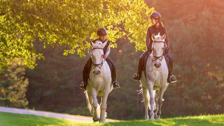 Reiten bei Hämorrhoiden?